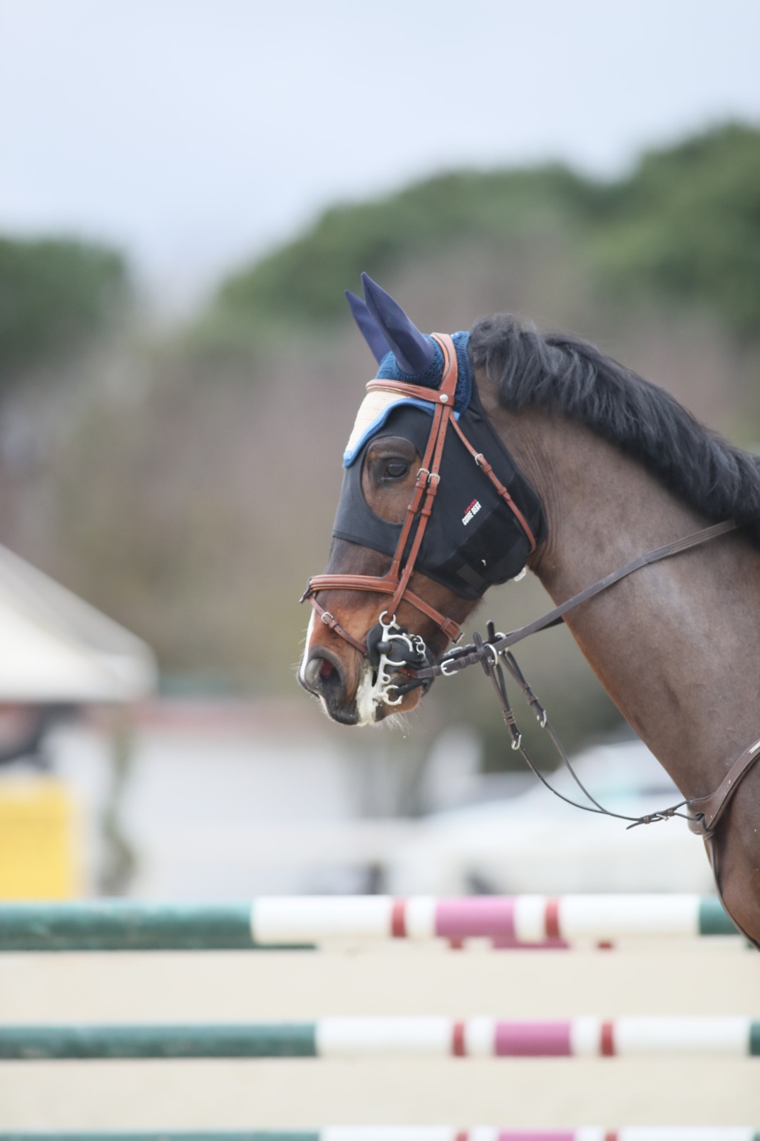 Foto 3 - Non Solo Grafica